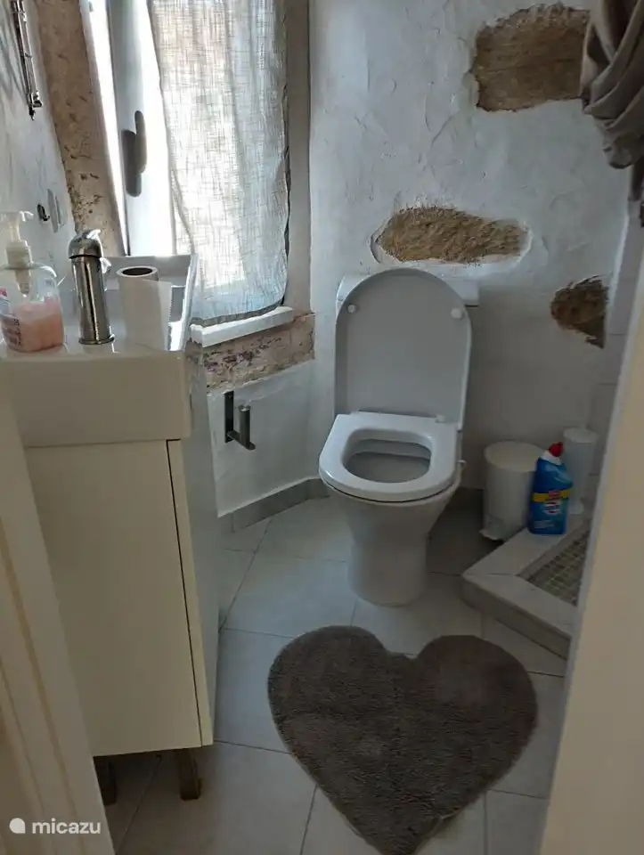 Toilette mit Dusche und Waschbecken