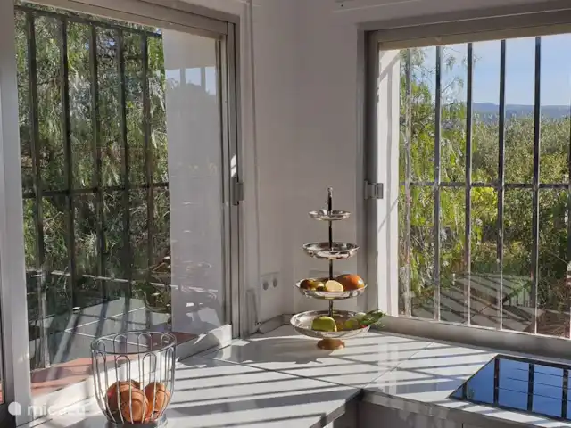 Finca Maxima | Espagne, Valence, Montroy - finca La belle vue de la cuisine sur l'oliveraie.