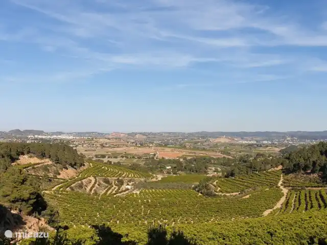 Finca Maxima | Espagne, Valence, Montroy - finca La vue!