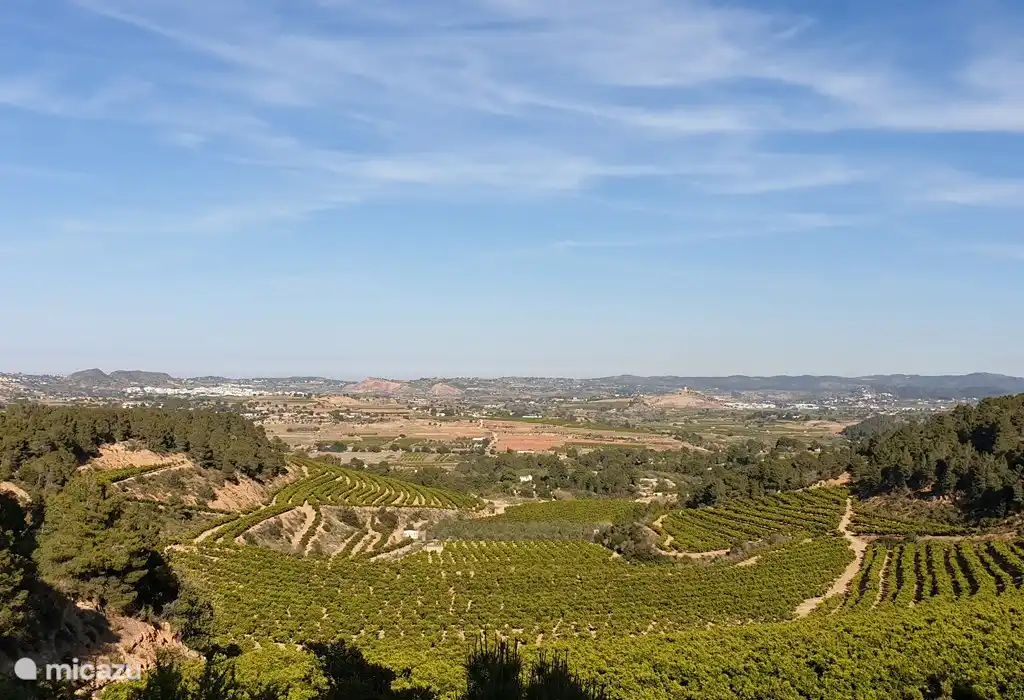 Finca Máxima