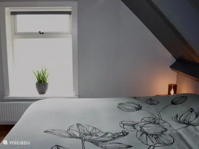 Location de Vacances Pays-Bas, Overijssel, Zwolle, maison de vacances - Het Wijdeland chambre à coucher