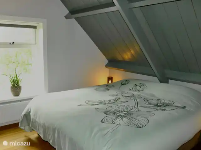Location de Vacances Pays-Bas, Overijssel, Zwolle, maison de vacances - Het Wijdeland chambre à coucher