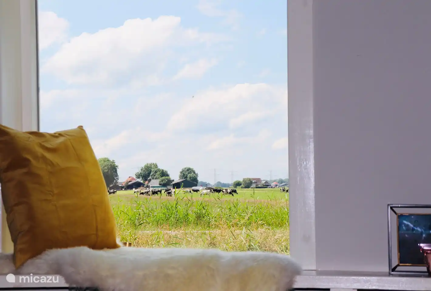 Blick aus dem Wohnzimmer