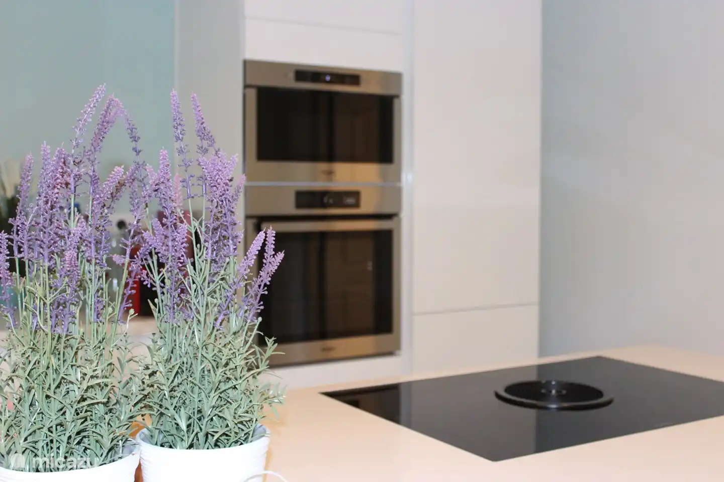 Plaque à induction avec extracteur intégré. Four &amp; Micro-ondes