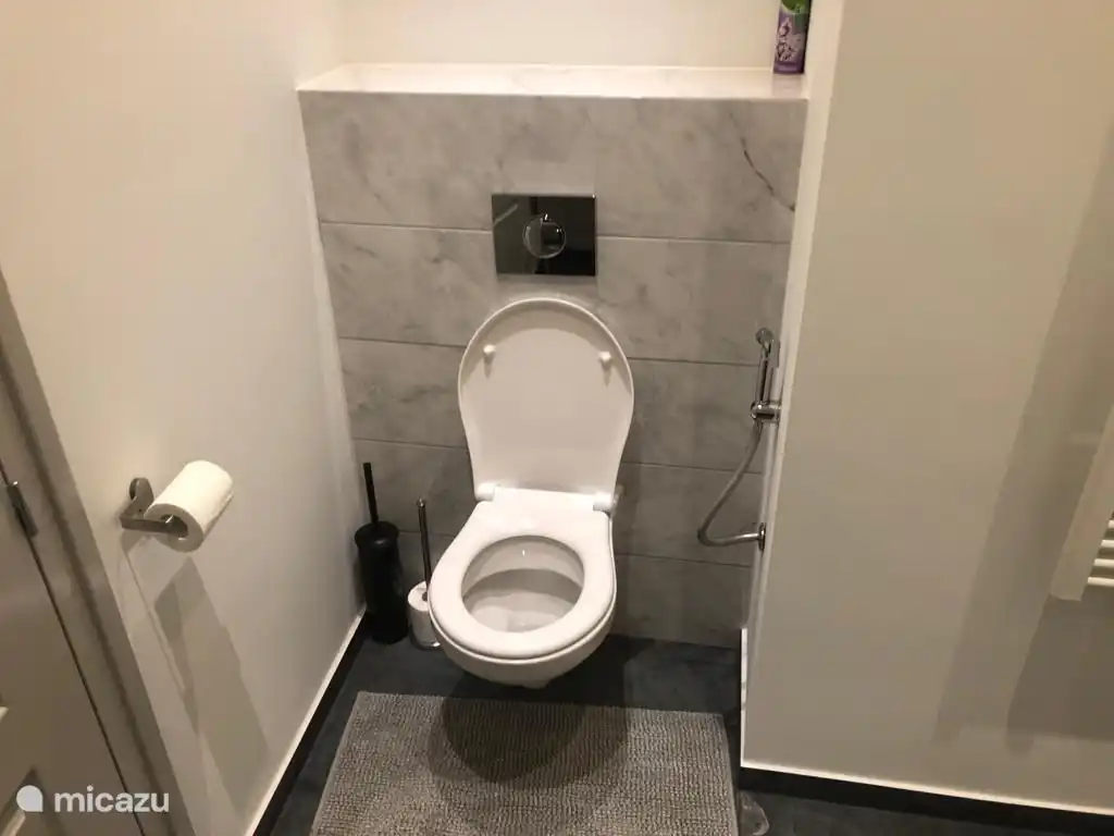 WC dans la salle de bain 3