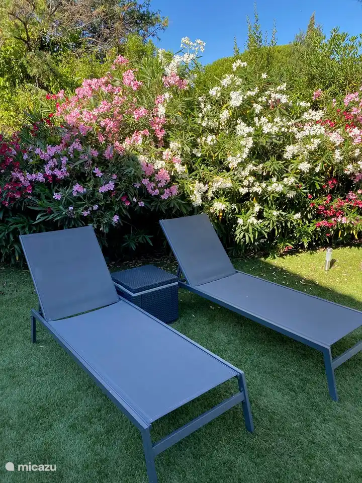 2 des 5 transats du jardin