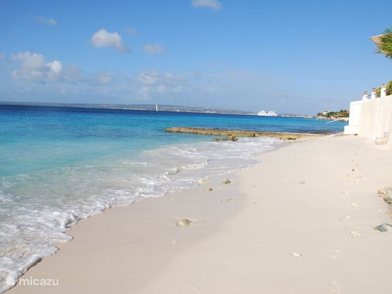 Ferienwohnung Bonaire, Bonaire, Belnem Appartement Bellevue 5
