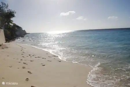Ferienwohnung Bonaire, Bonaire, Belnem appartement Bellevue 5
