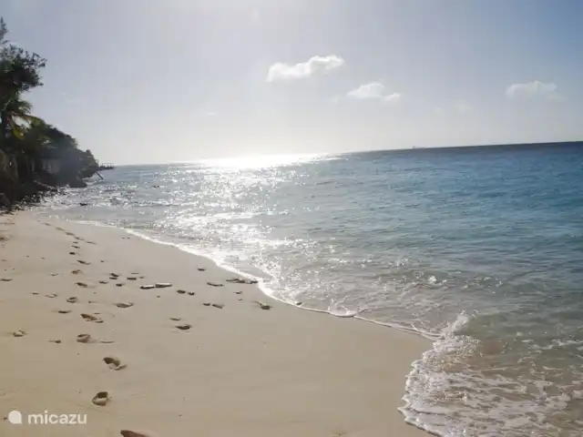 appartement huren in Bonaire, Bonaire, Belnem – Bellevue 5