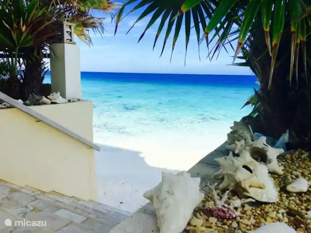 appartement huren in Bonaire, Bonaire, Belnem – Bellevue 5