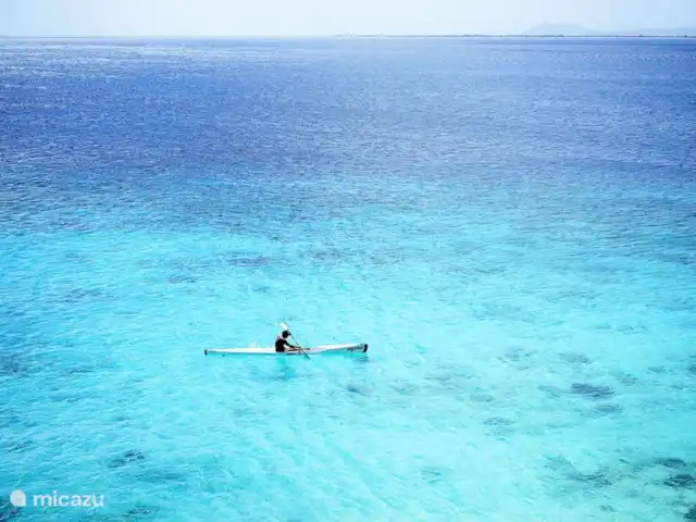 appartement huren in Bonaire, Bonaire, Belnem – Bellevue 5