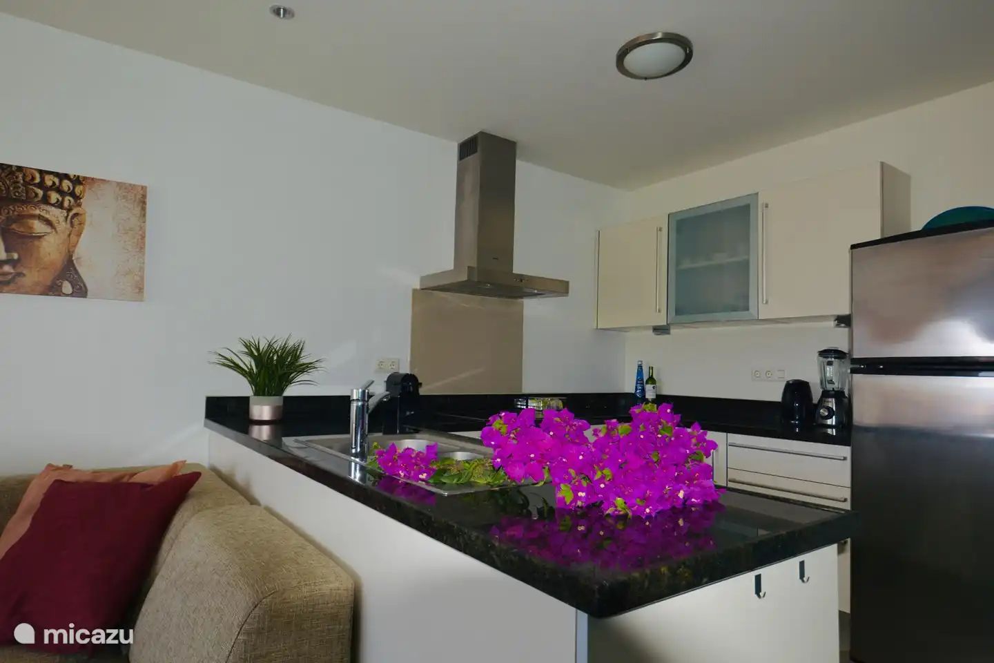 Cuisine ouverte entièrement équipée