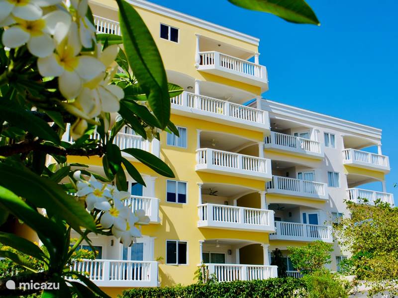 Ferienwohnung Curaçao, Curacao-Mitte, Blue Bay Appartement ✨Blue Bay Beach Apartments✨