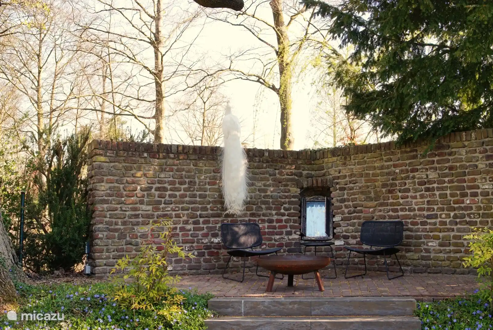 Sitting in the garden with our daily guest De Pauw