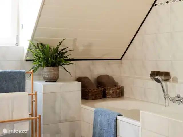 Kasteelhoeve d'Erp huren in Nederland, Limburg, Baarlo - villa Badkamer is voorzien van een bad en douche.
