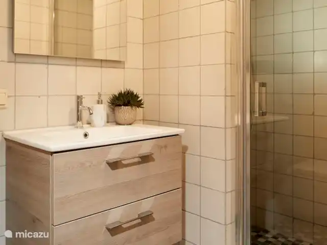 Kasteelhoeve d'Erp huren in Nederland, Limburg, Baarlo - villa badkamer