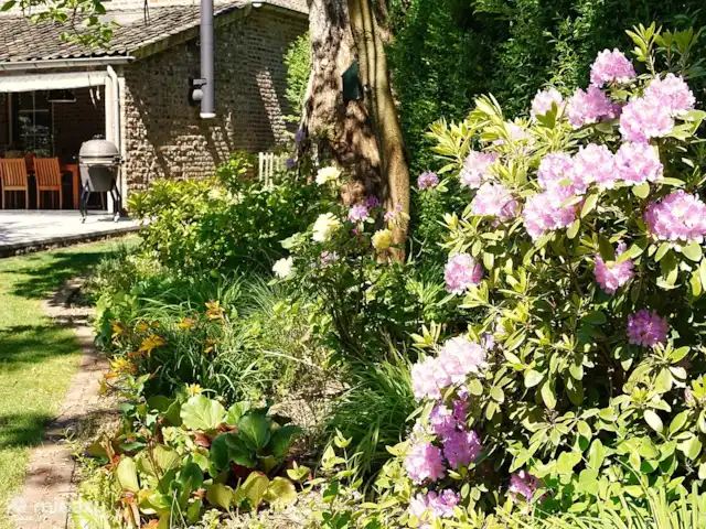 Kasteelhoeve d'Erp huren in Nederland, Limburg, Baarlo - villa Tuin