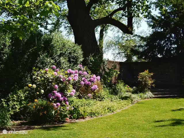 Kasteelhoeve d'Erp huren in Nederland, Limburg, Baarlo - villa tuin