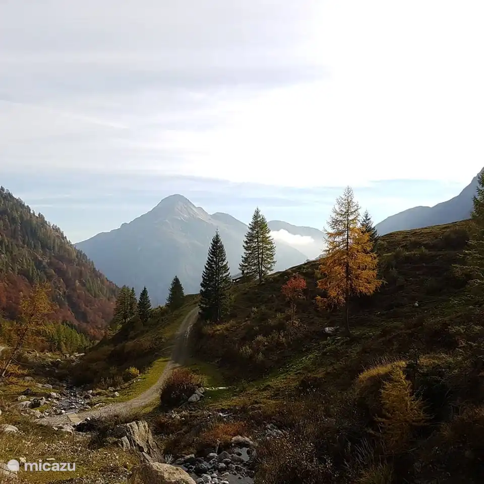 Magnifiques sentiers de randonnée