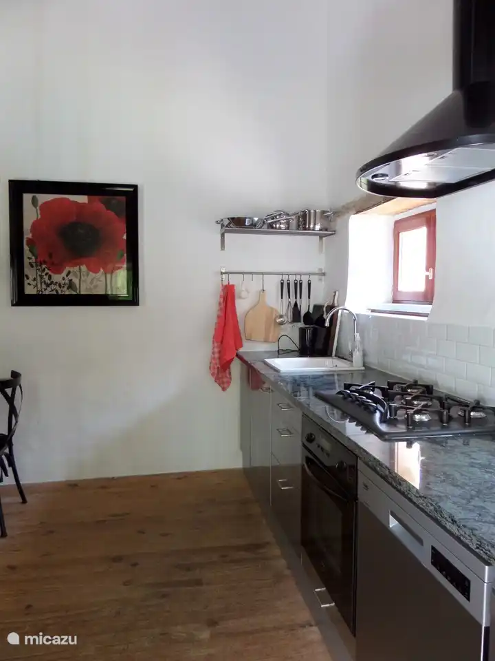 La cuisine bien équipée avec lave-vaisselle, plaque de cuisson et four/micro-onde encastré