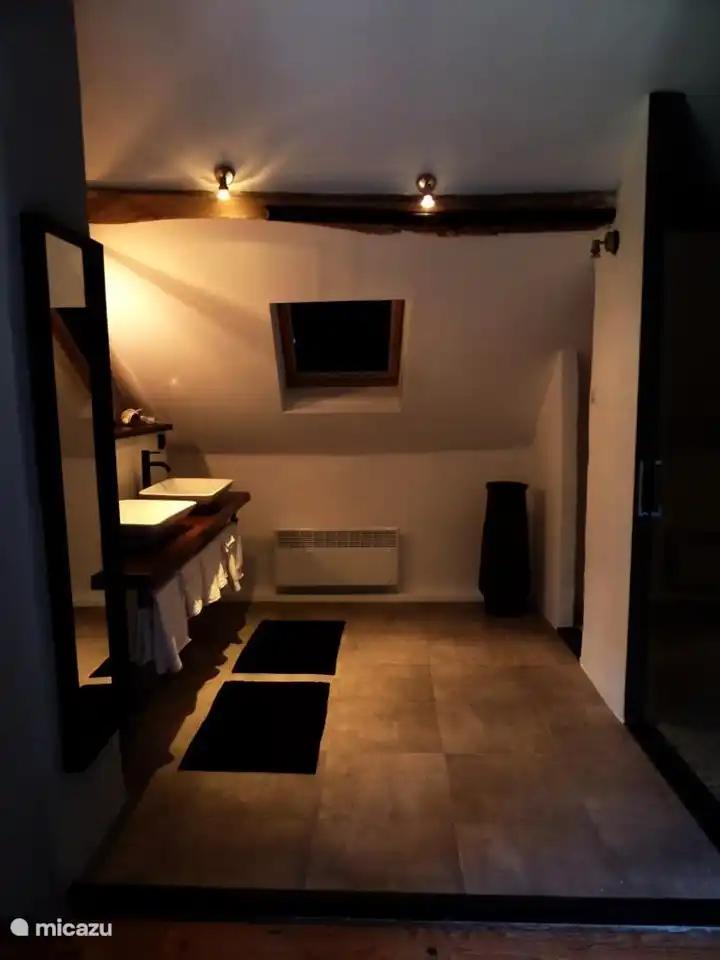 Salle de bain très spacieuse avec grande douche pluie et toilettes séparées