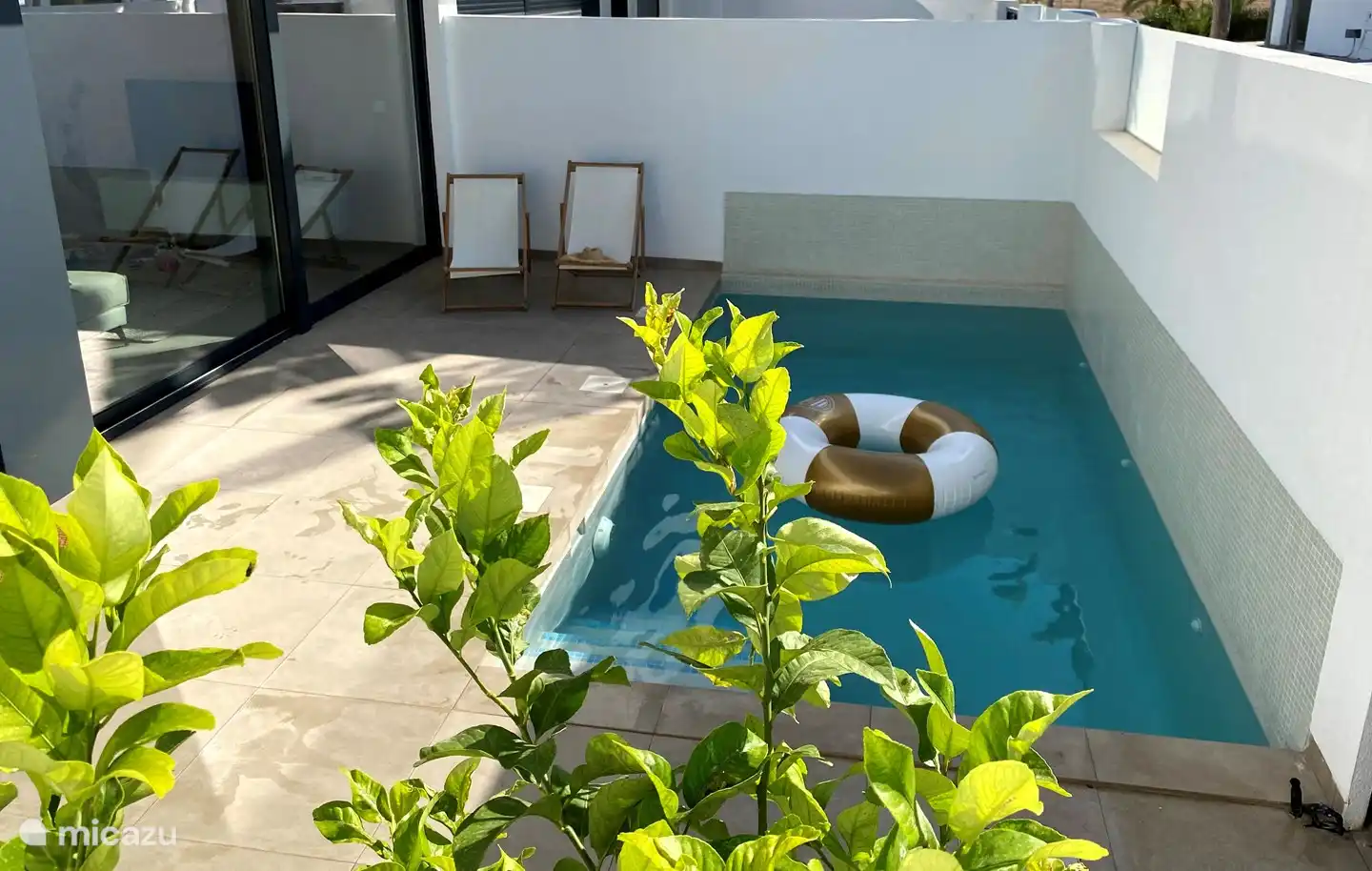 nog één keer het zwembad met de citroenboompjes