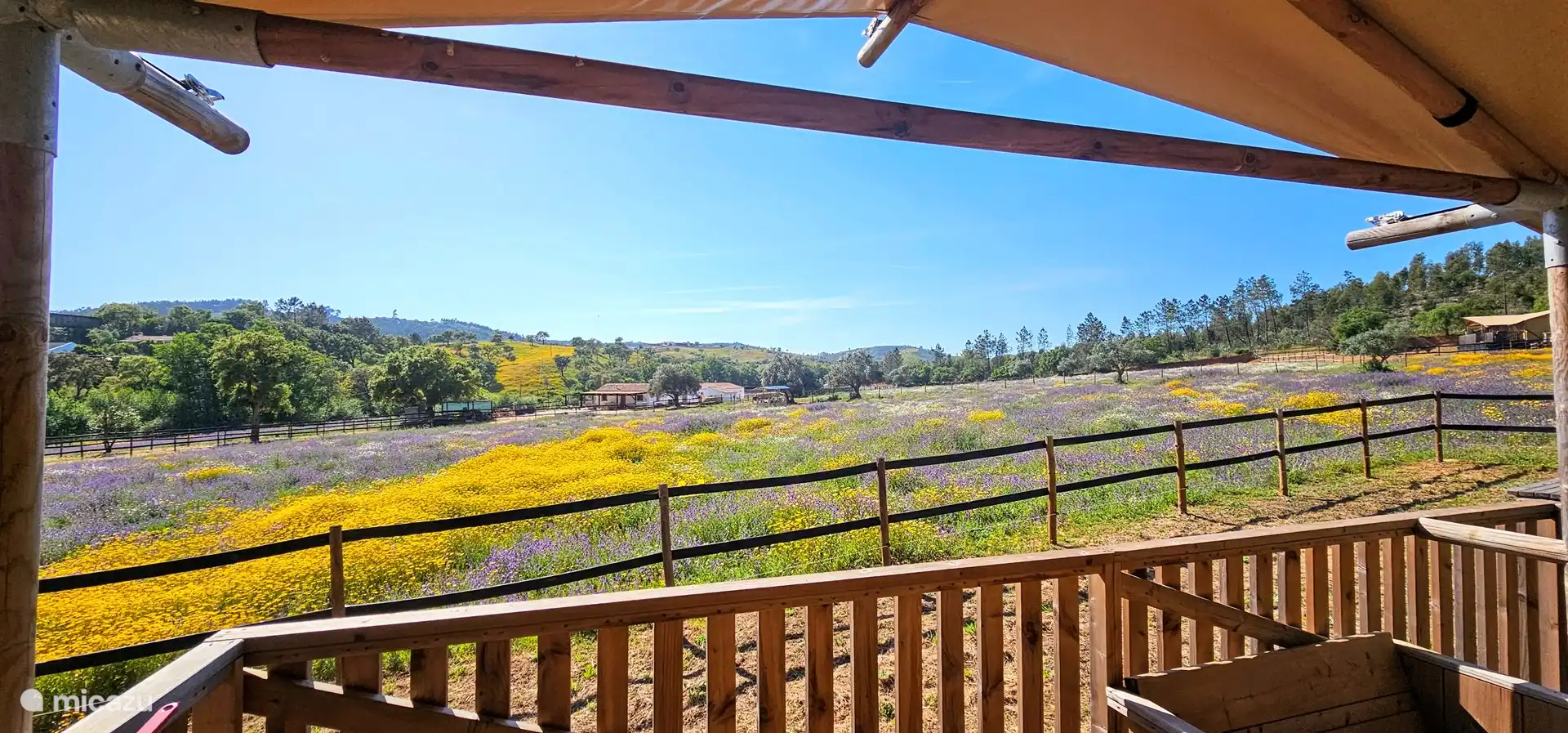 Im März und April dieses Farbenmeer von Ihrer Lodge