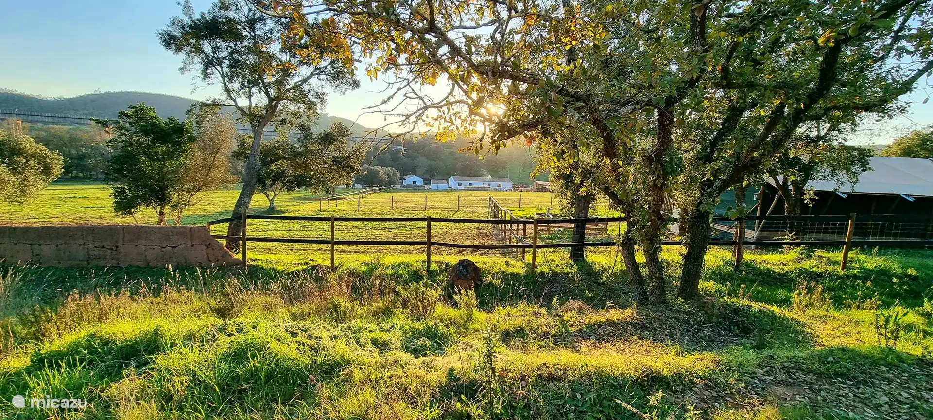Blick auf den Bauernhof