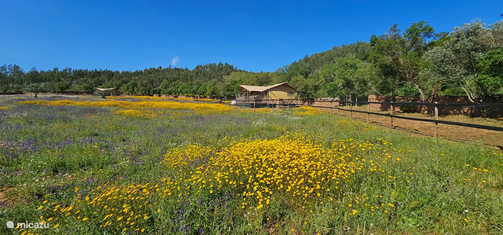 Veel privacy tussen onze lodges