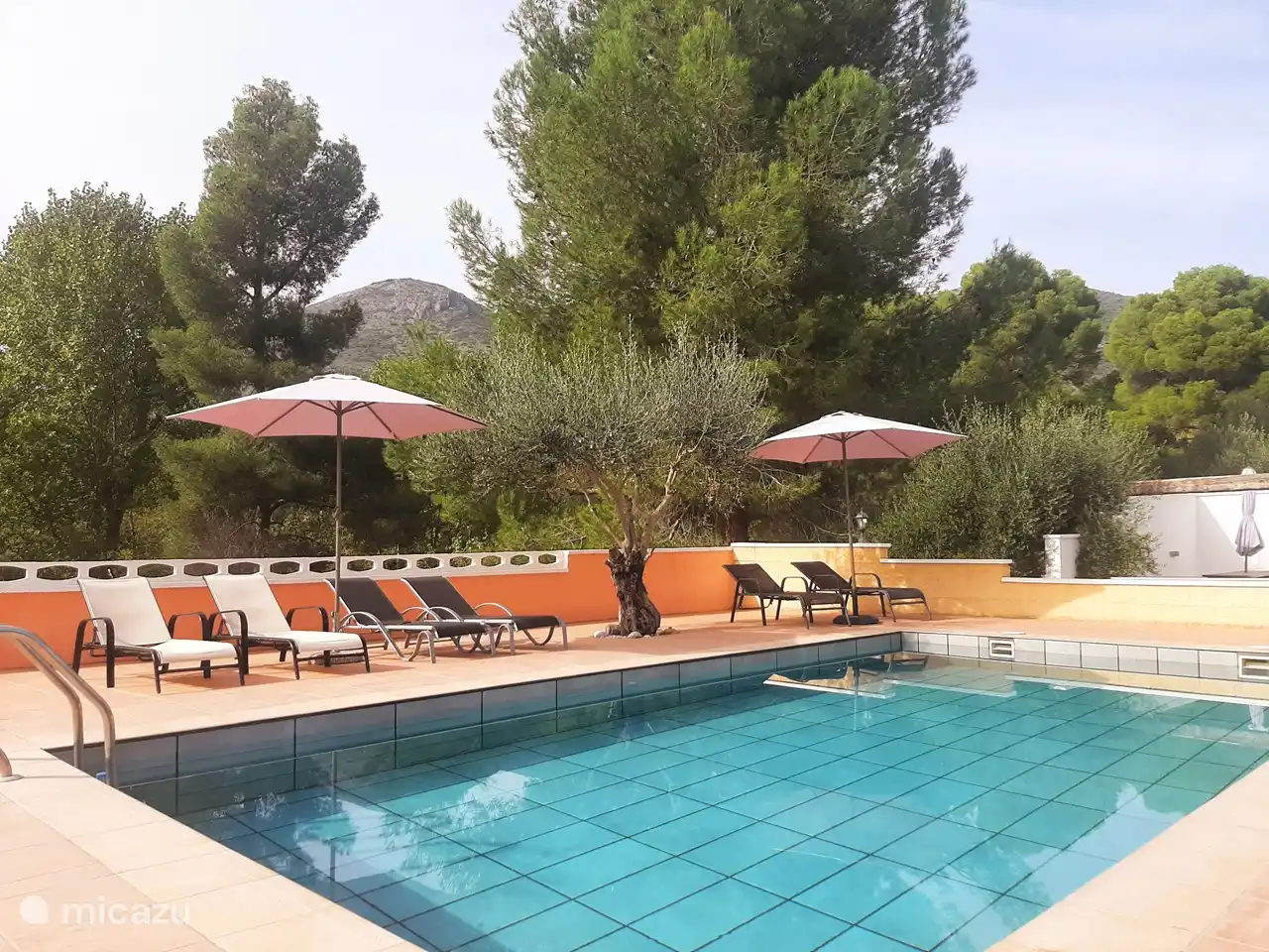 Nadar, leer un libro bajo la sombrilla o mirar las estrellas por la noche?