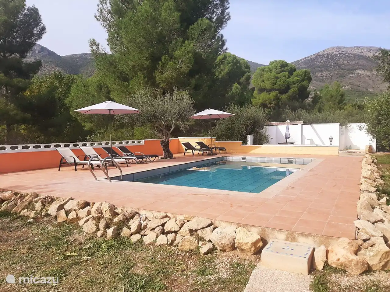 Un oasis de verde alrededor de la piscina.