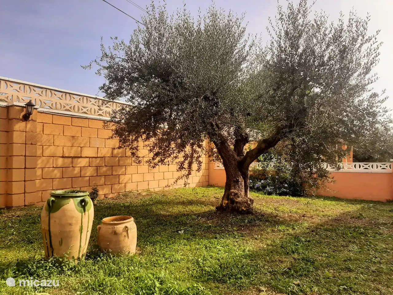 Frascos atmosféricos en el jardín.