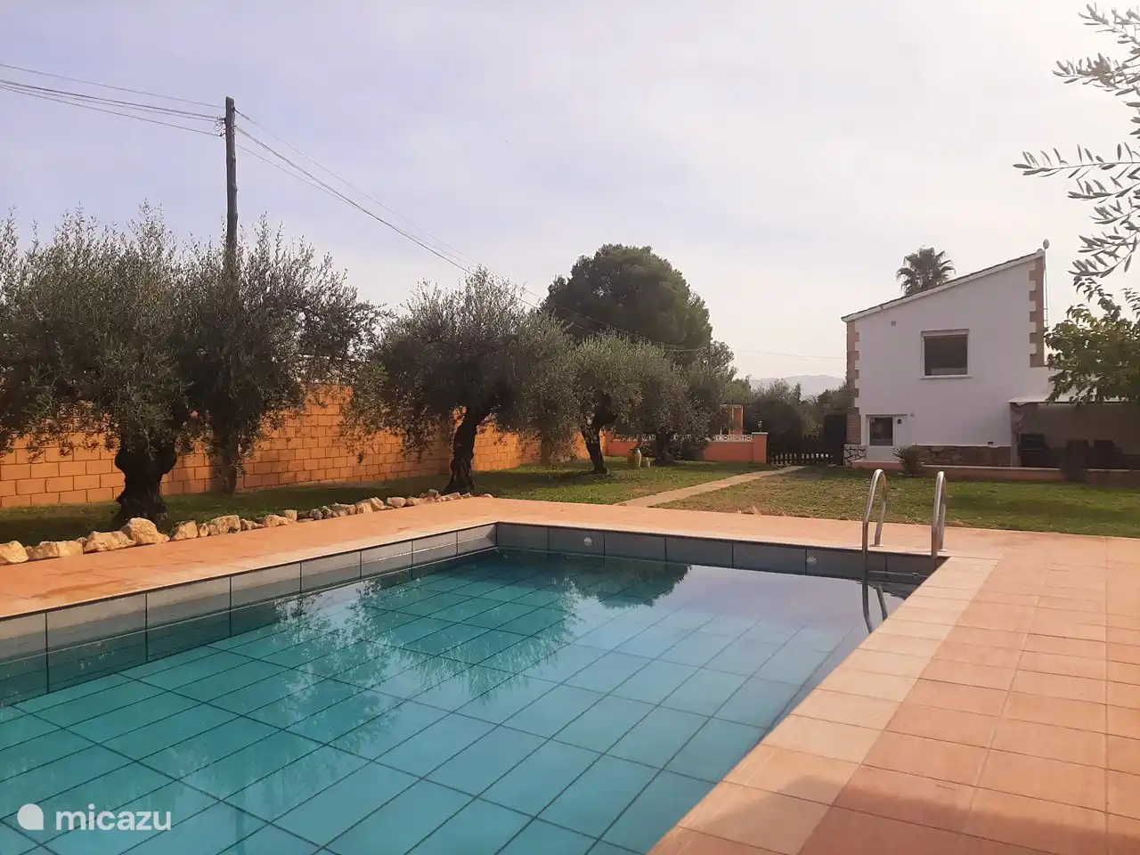 Los olivos bordean la piscina.