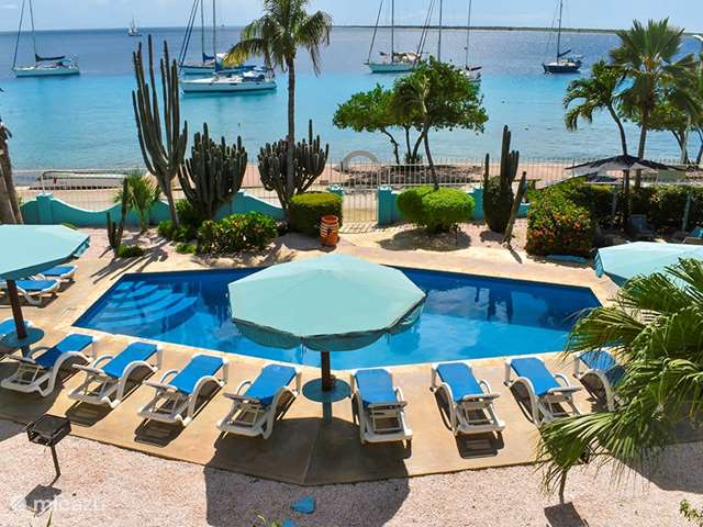 Vakantiehuis Bonaire, Bonaire, Kralendijk - appartement Bonaire Oceanfront Apartment