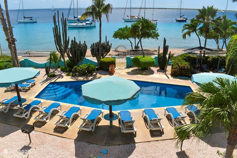 Vacation rental Bonaire, Bonaire, Kralendijk Apartment Bonaire Oceanfront Apartment