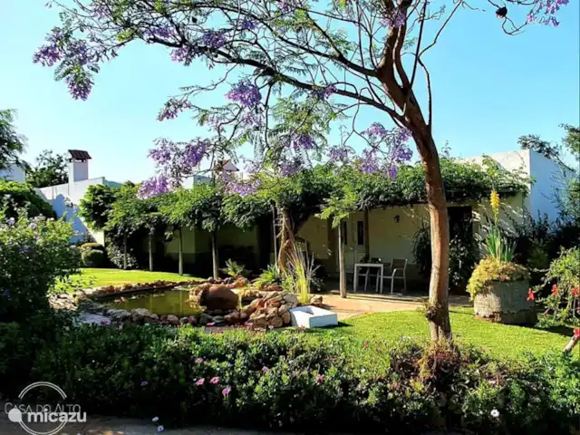 Casa do Alto Completa  en Portugal, Algarve, Vale Judeu - alojamiento y desayuno El jardín