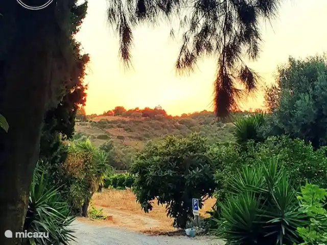 Casa do Alto Completa  en Portugal, Algarve, Vale Judeu - alojamiento y desayuno