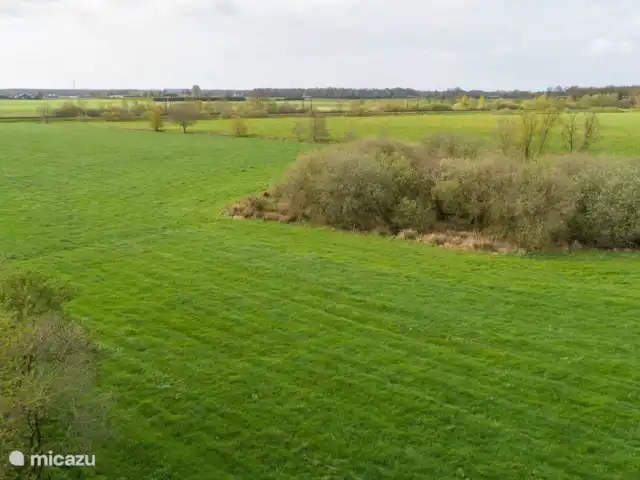 Location de Vacances Pays-Bas, Drenthe, Echten, maison de vacances - Prairie de vache de ferme Pingouin d'en haut