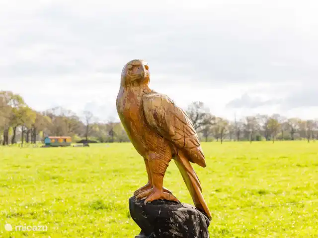 Location de Vacances Pays-Bas, Drenthe, Echten, maison de vacances - Prairie de vache de ferme Il veille