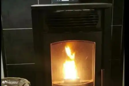 Vakantiehuis Nederland, Friesland, Menaldum chalet Liefs uit Menaldum