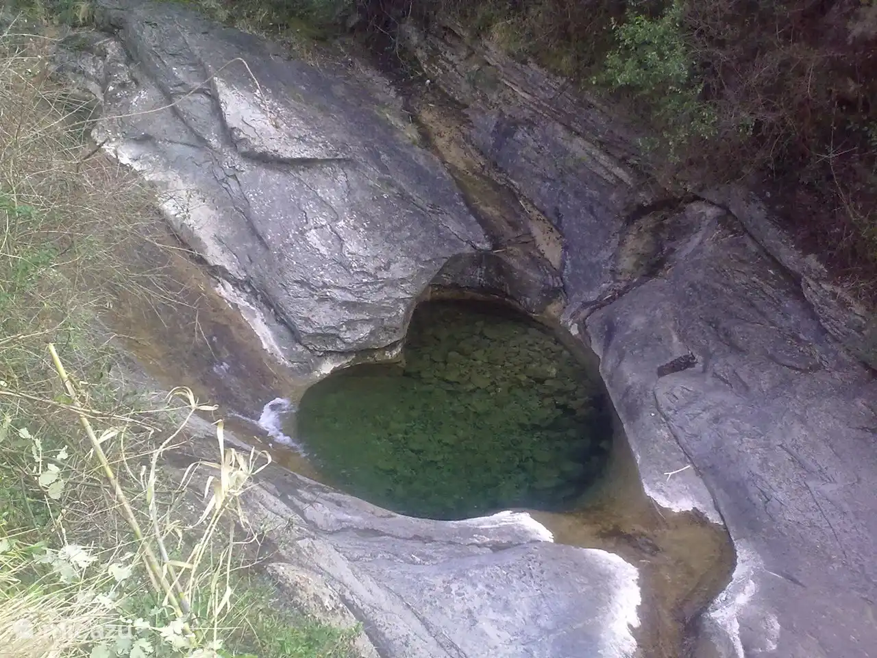 Peu comme à proximité de la maison