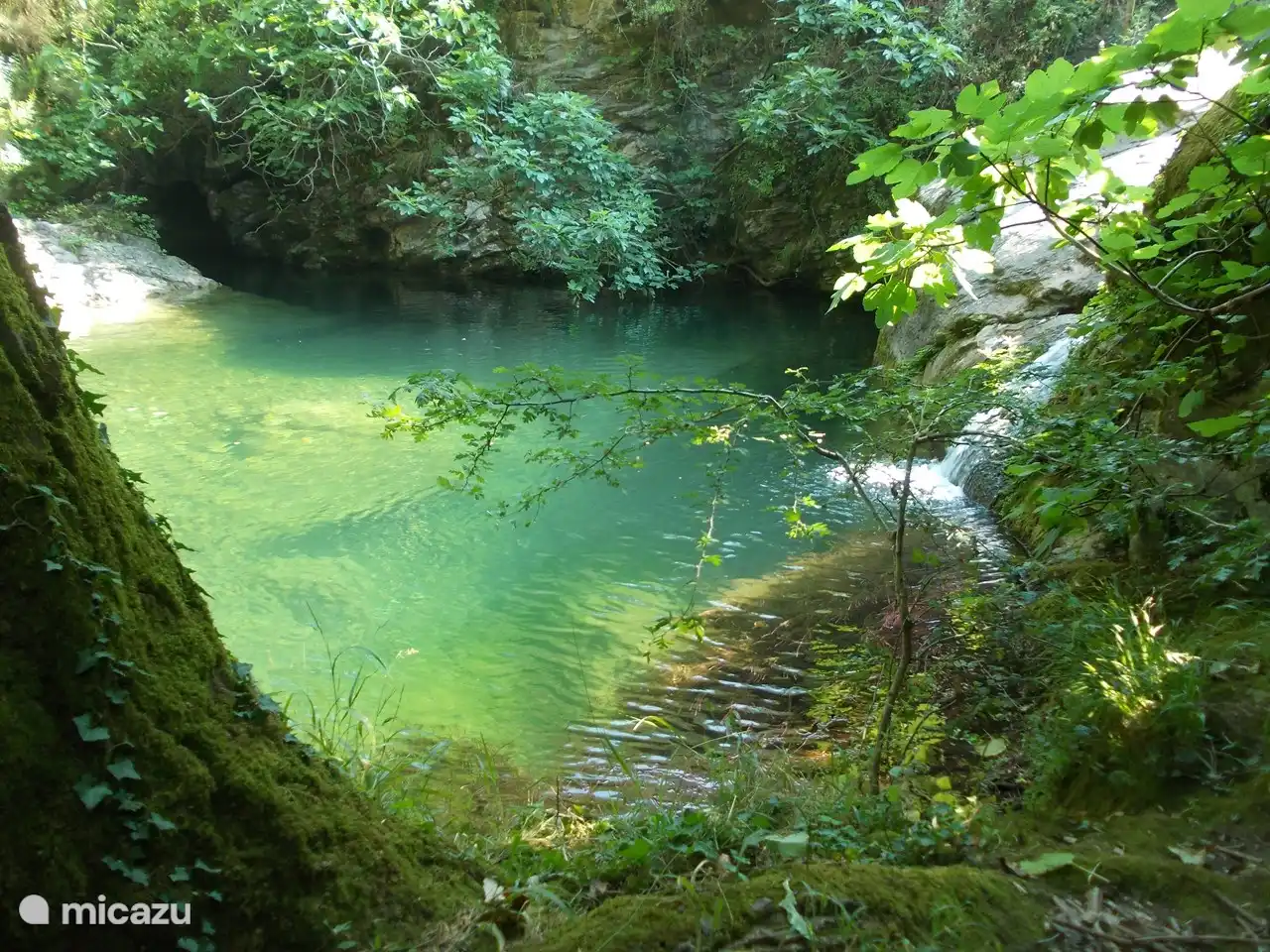 Petit lac à proximité de la maison