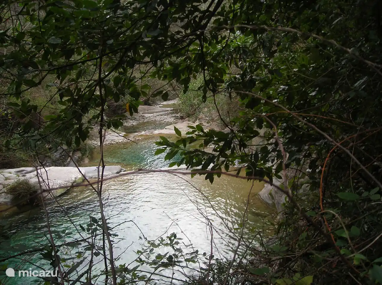 Petit lac à proximité de la maison