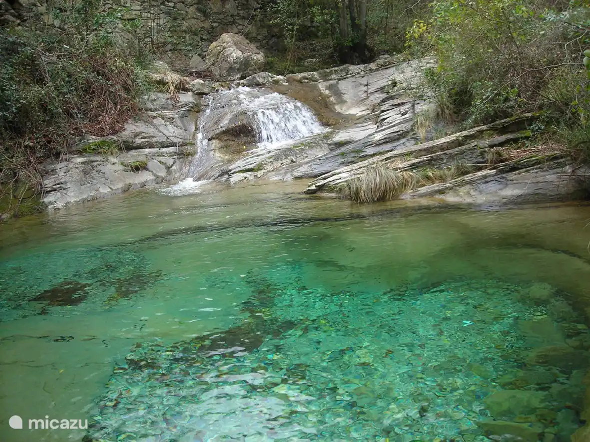 Petit lac à proximité de la maison