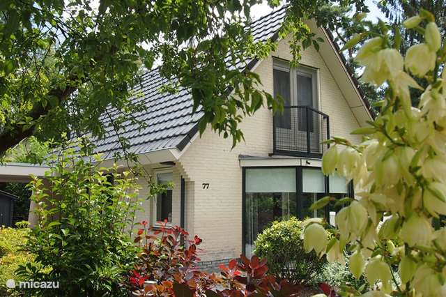 Holiday home Netherlands, Gelderland, Epe - holiday house Veluwse Bos Holiday Home Epe