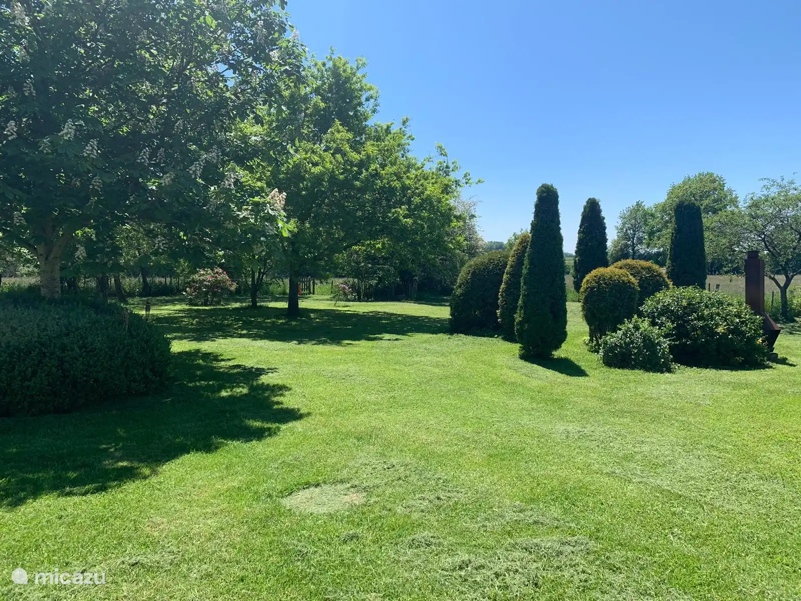 Parte del jard&#237;n