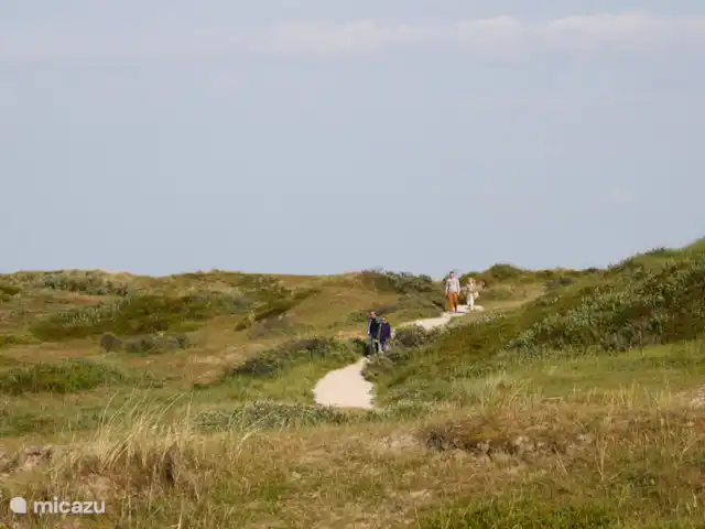 XL Villa Duinland huren in Nederland, Noord-Holland, Sint Maartenszee - villa omgeving