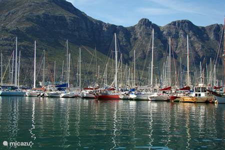 Things to do in Hout Bay en Cape Town