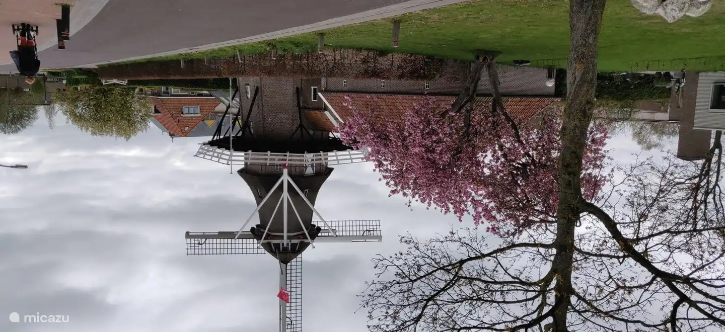 Windmolen te Noordwolde, Windlust.