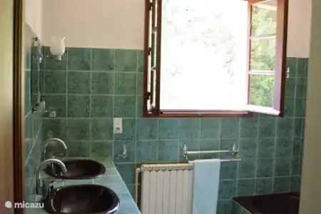 Vacation rental France, Dordogne, Saint-Estèphe holiday house The yellow house near the castle